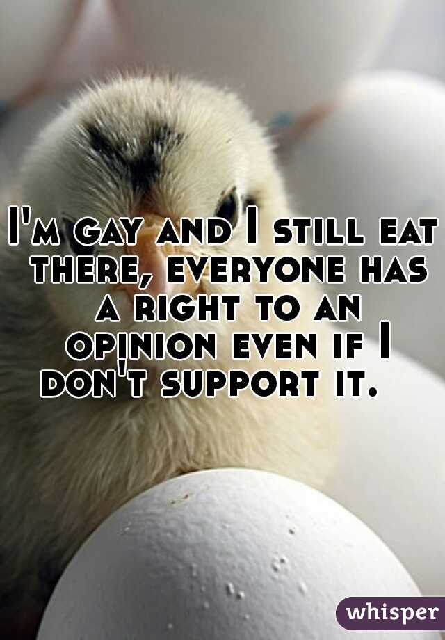 I'm gay and I still eat there, everyone has a right to an opinion even if I don't support it.   