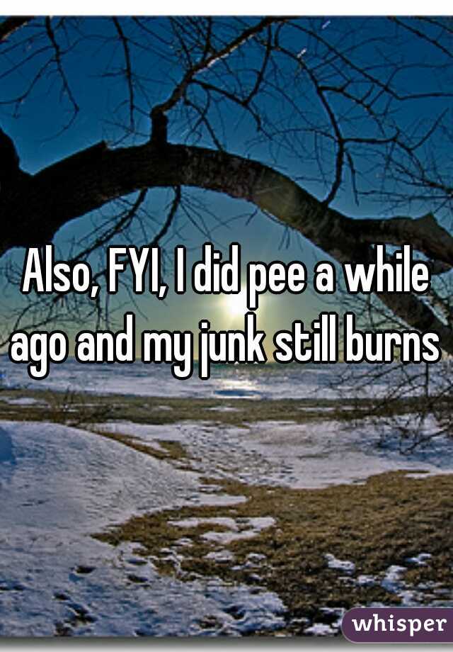Also, FYI, I did pee a while ago and my junk still burns 