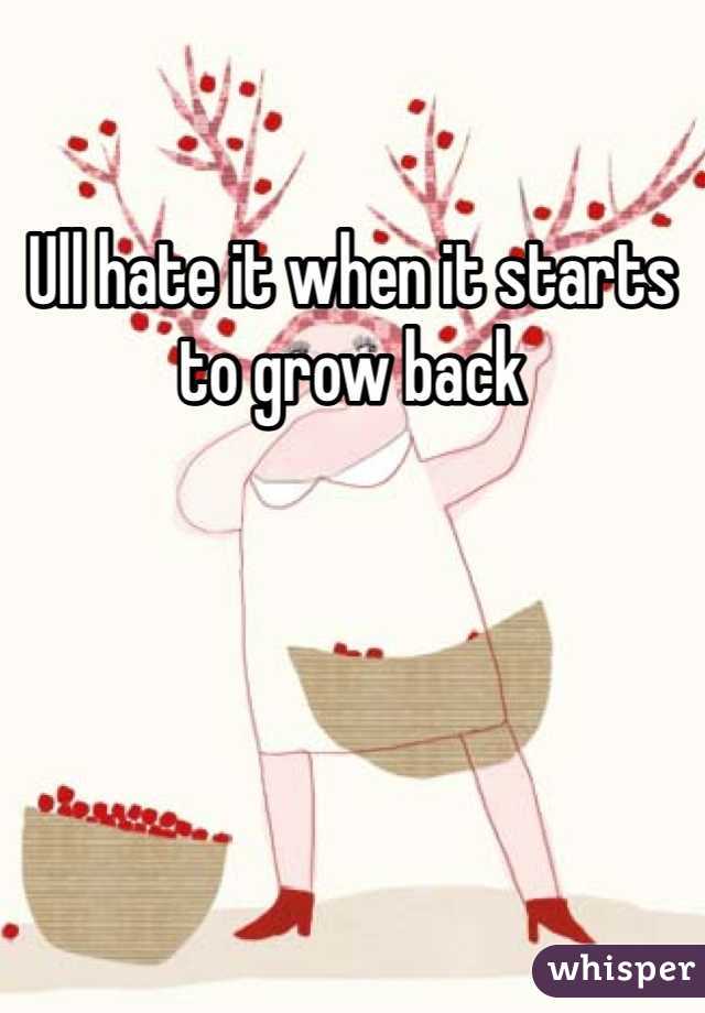 Ull hate it when it starts to grow back