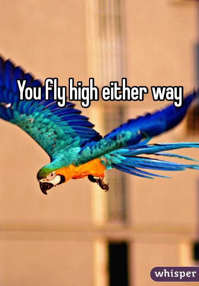 You fly high either way 