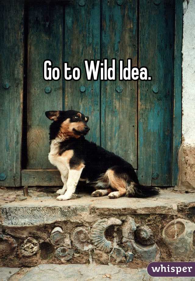 Go to Wild Idea.