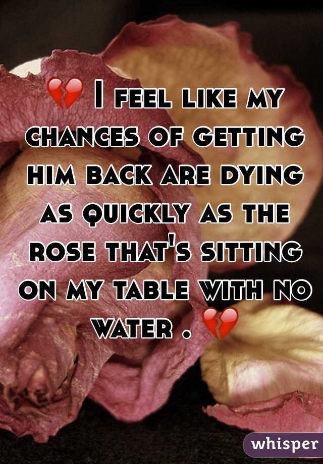💔 I feel like my chances of getting him back are dying as quickly as the rose that's sitting on my table with no water . 💔