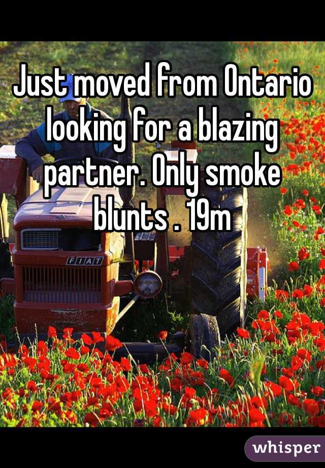 Just moved from Ontario looking for a blazing partner. Only smoke blunts . 19m 