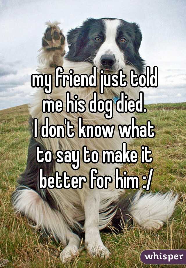 my friend just told 
me his dog died. 
I don't know what 
to say to make it 
better for him :/