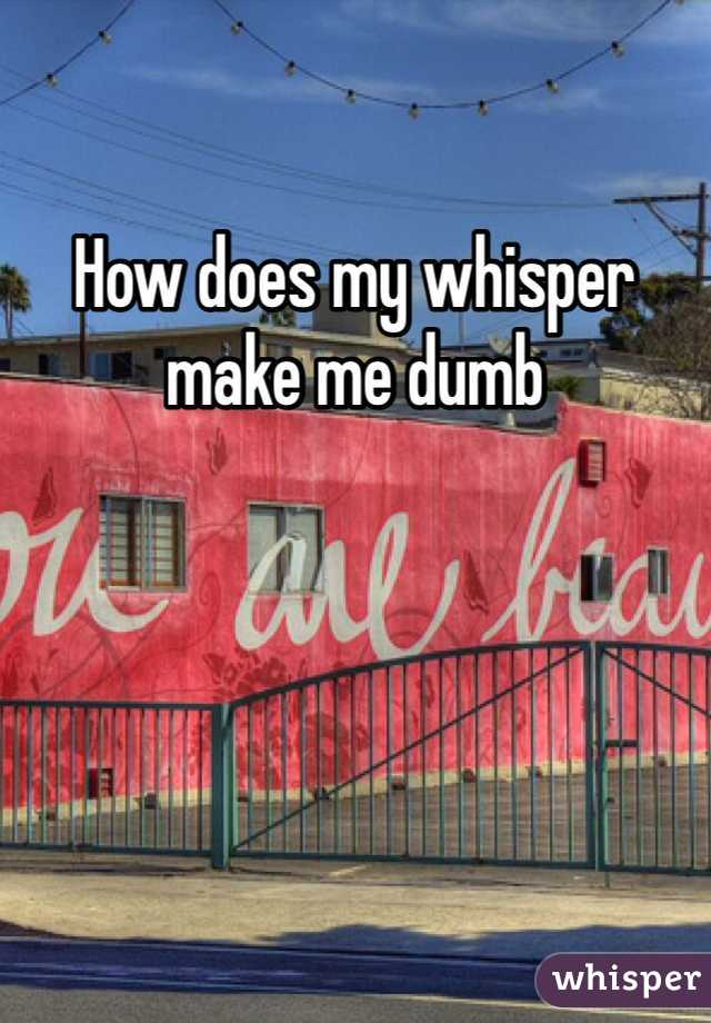 How does my whisper make me dumb 