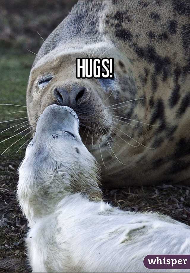 HUGS!