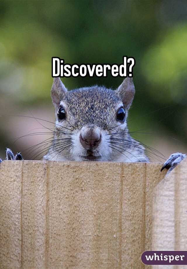 Discovered?