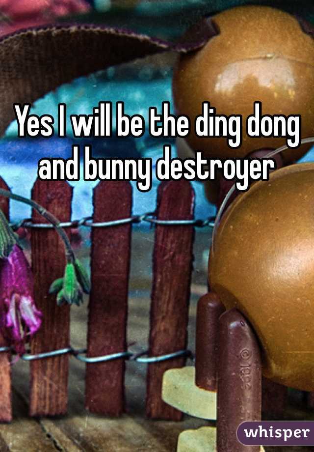 Yes I will be the ding dong and bunny destroyer