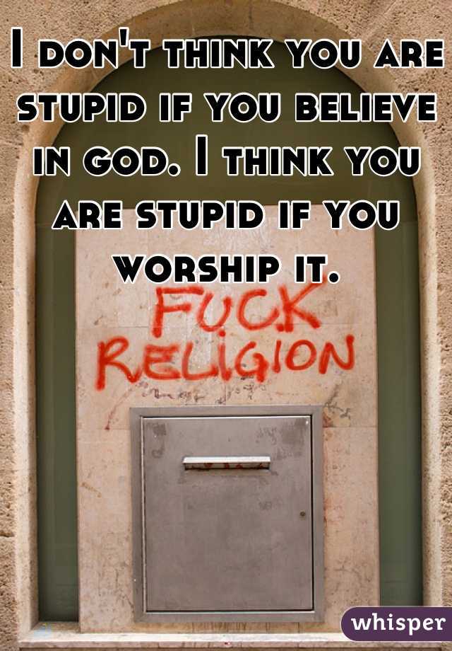 I don't think you are stupid if you believe in god. I think you are stupid if you worship it.