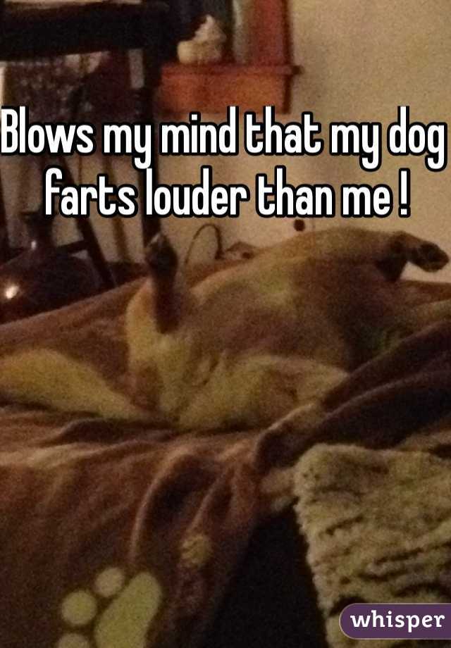 Blows my mind that my dog farts louder than me ! 