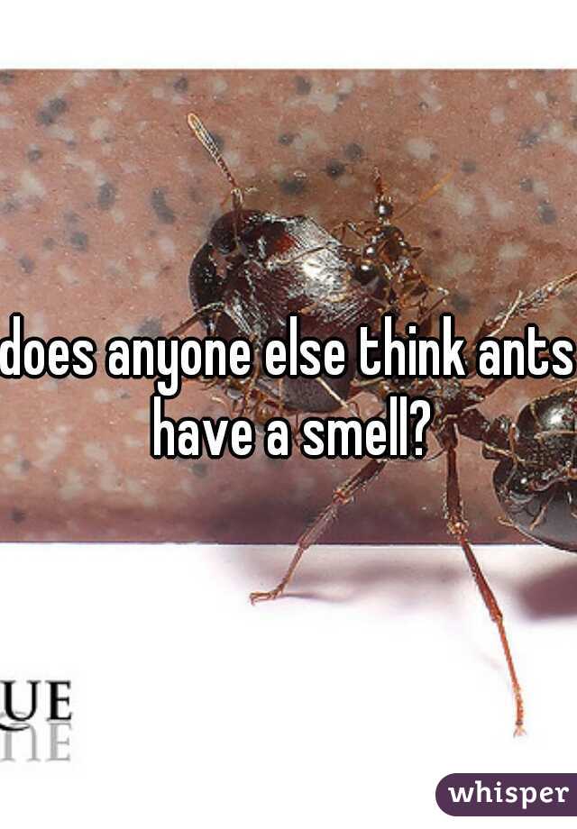 does anyone else think ants have a smell?