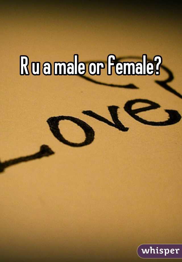 R u a male or female?