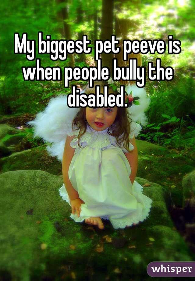 My biggest pet peeve is when people bully the disabled. 