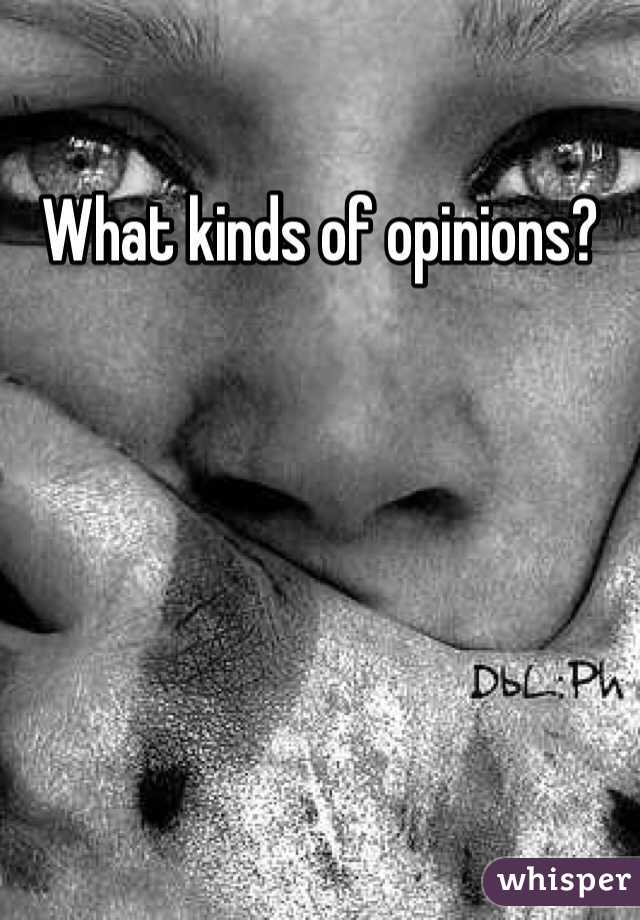 What kinds of opinions?