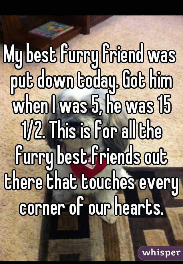 My best furry friend was put down today. Got him when I was 5, he was 15 1/2. This is for all the furry best friends out there that touches every corner of our hearts.