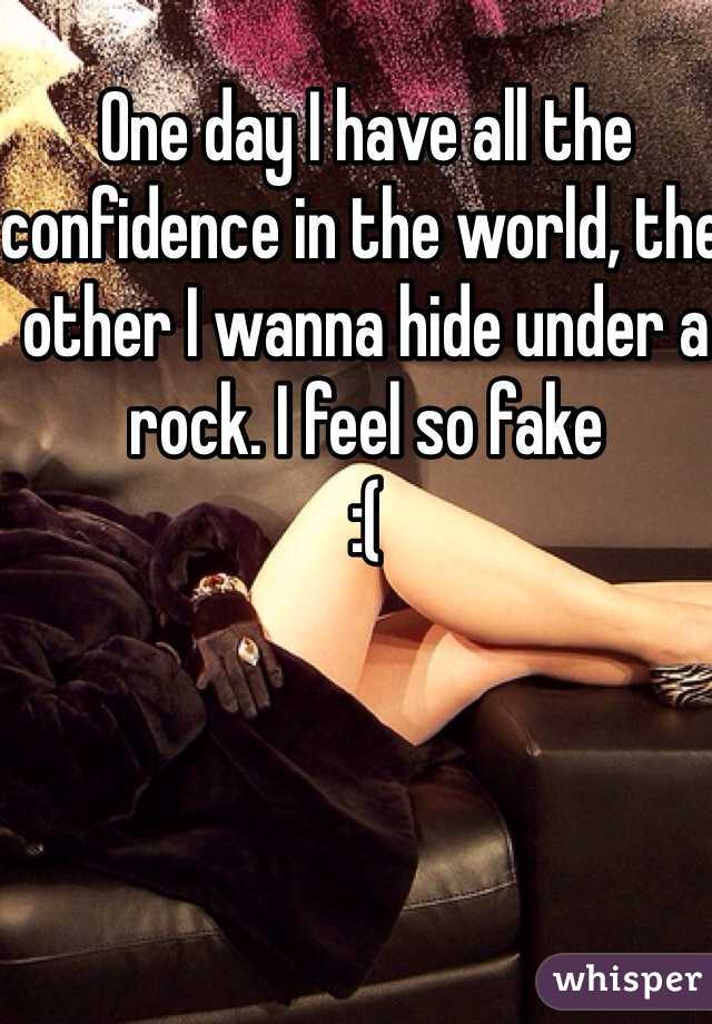 One day I have all the confidence in the world, the other I wanna hide under a rock. I feel so fake  
:( 