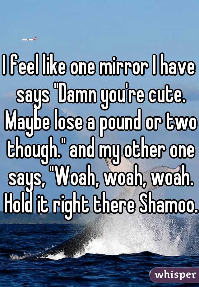 I feel like one mirror I have says "Damn you're cute. Maybe lose a pound or two though." and my other one says, "Woah, woah, woah. Hold it right there Shamoo."