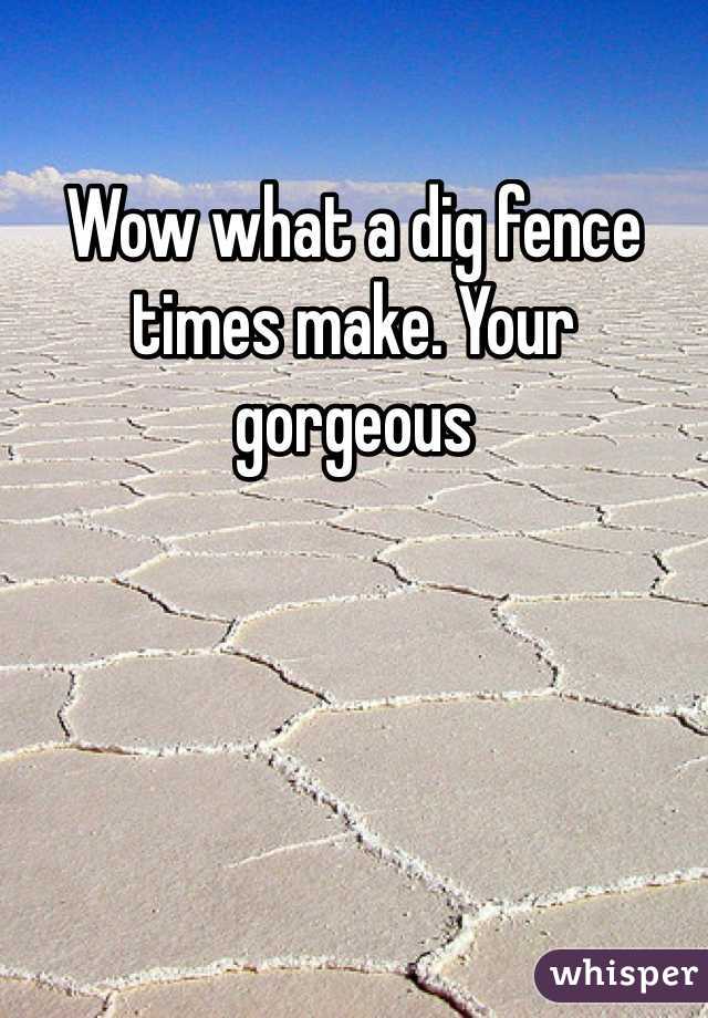 Wow what a dig fence times make. Your gorgeous 