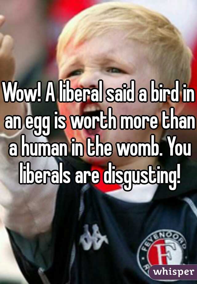 Wow! A liberal said a bird in an egg is worth more than a human in the womb. You liberals are disgusting!