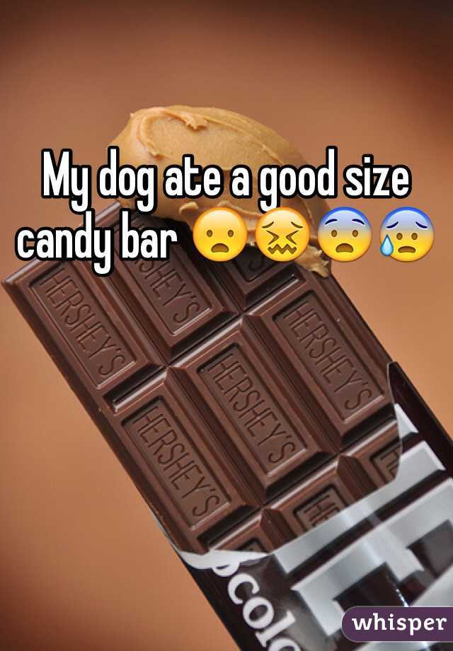 My dog ate a good size candy bar 😦😖😨😰