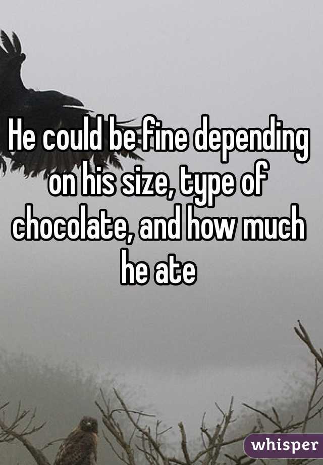 He could be fine depending on his size, type of chocolate, and how much he ate