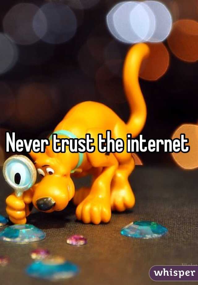 Never trust the internet 
