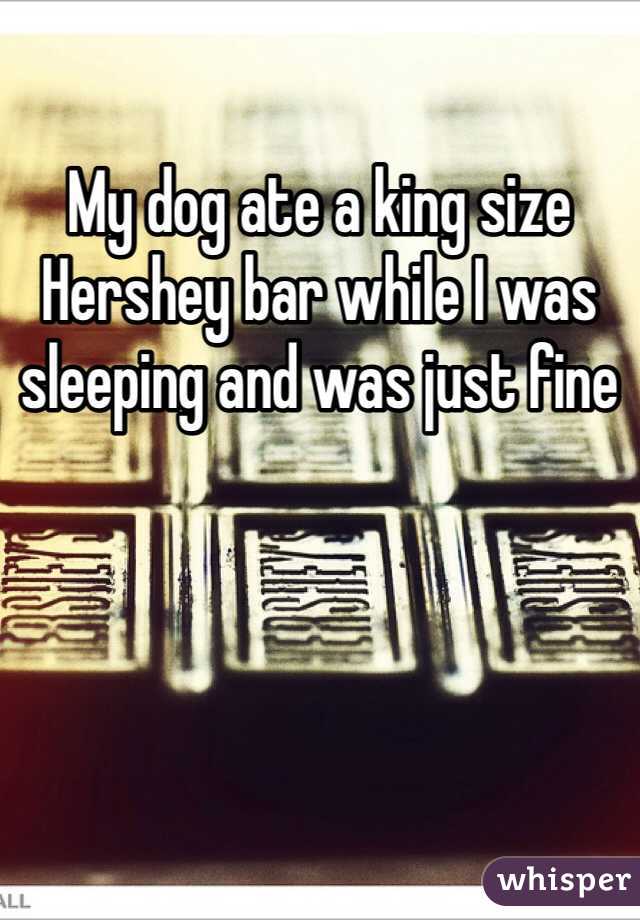 My dog ate a king size Hershey bar while I was sleeping and was just fine 