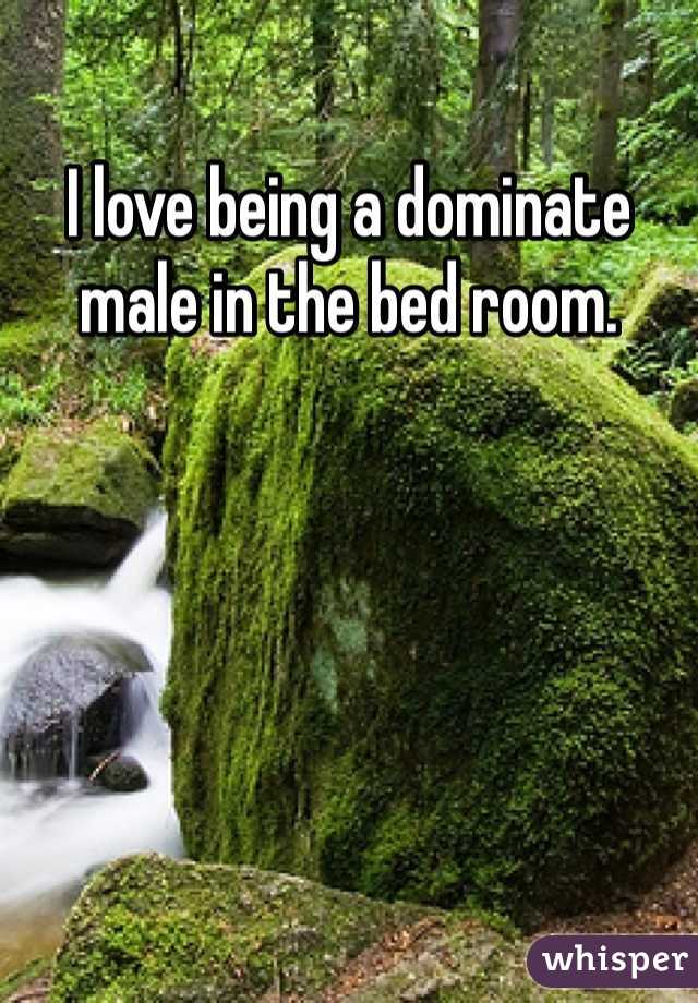 I love being a dominate male in the bed room. 