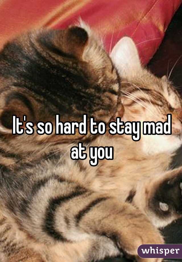 It's so hard to stay mad at you