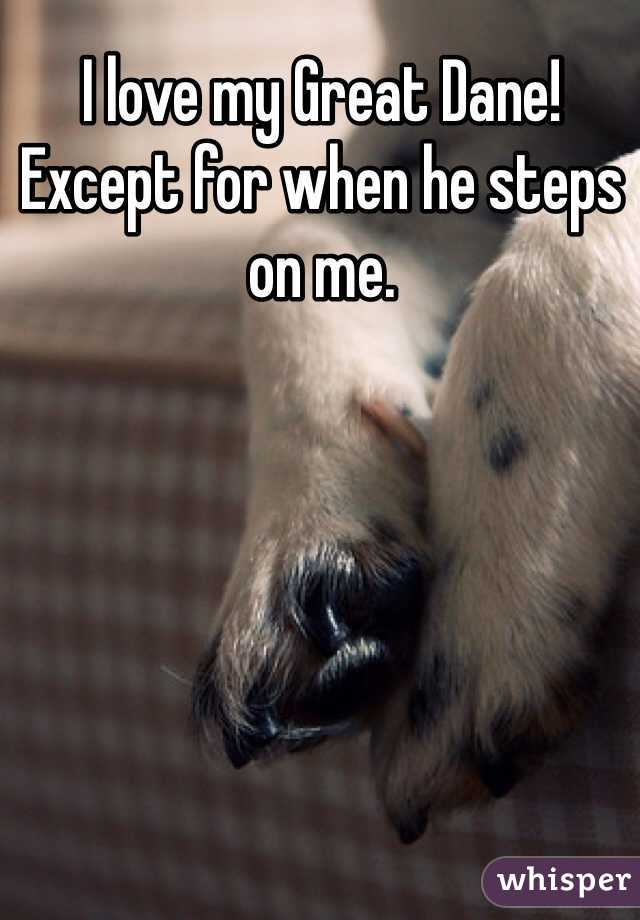 I love my Great Dane! Except for when he steps on me.