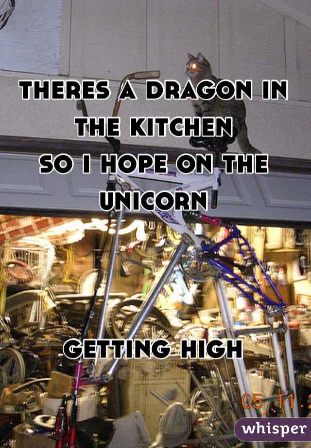 theres a dragon in the kitchen
so i hope on the unicorn



getting high

