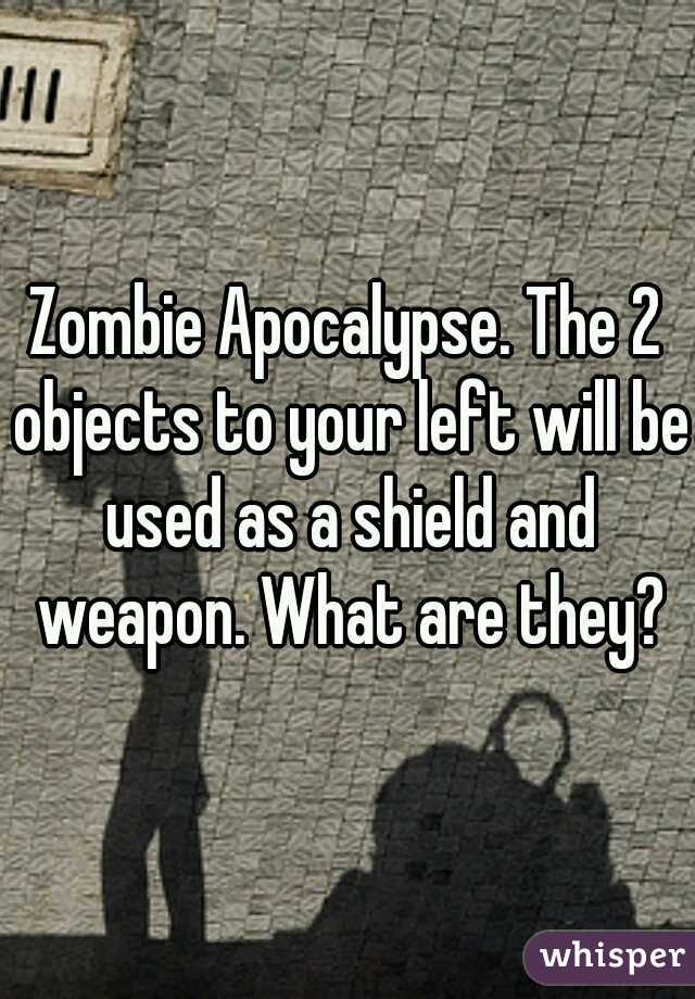 Zombie Apocalypse. The 2 objects to your left will be used as a shield and weapon. What are they?