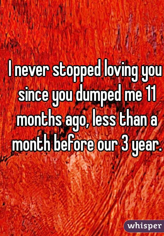 I never stopped loving you since you dumped me 11 months ago, less than a month before our 3 year.