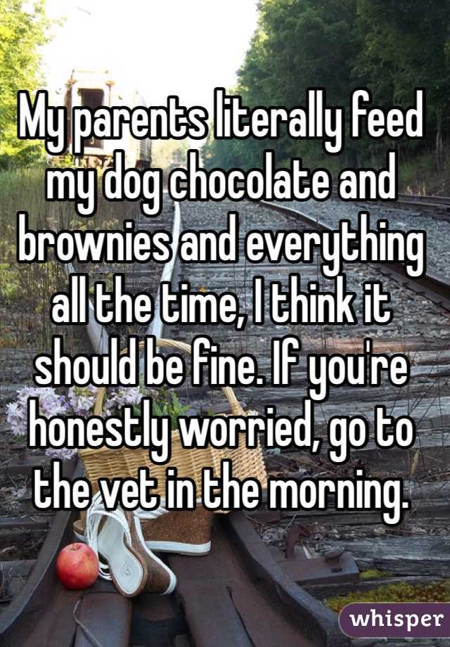 My parents literally feed my dog chocolate and brownies and everything all the time, I think it should be fine. If you're honestly worried, go to the vet in the morning. 