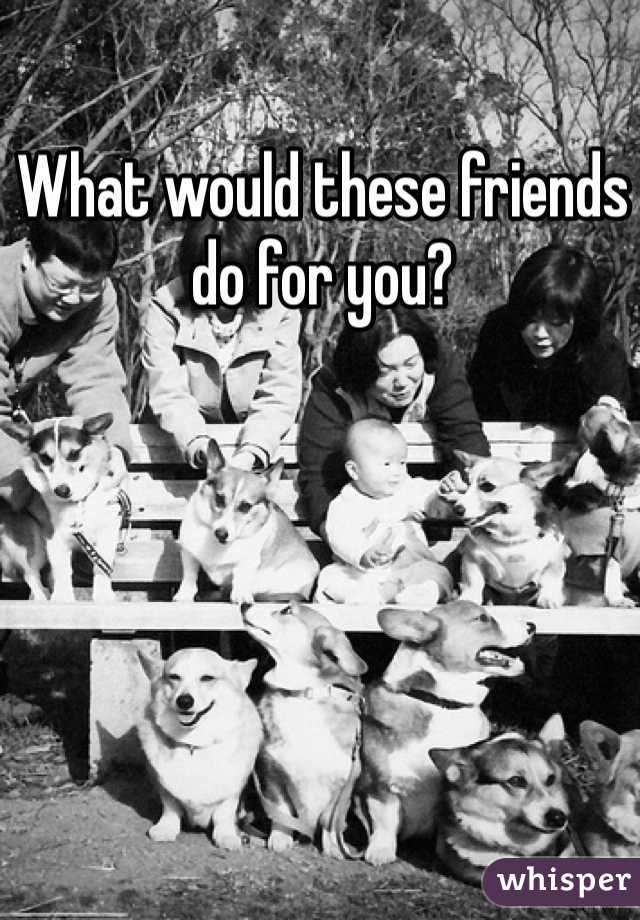 What would these friends do for you?