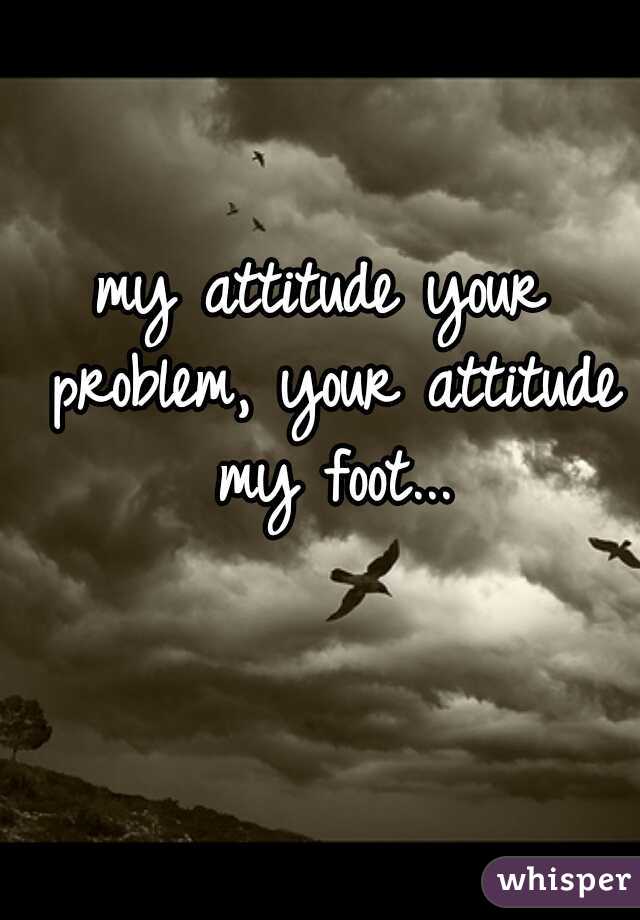 my attitude your problem, your attitude my foot...