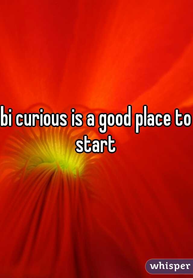 bi curious is a good place to start 