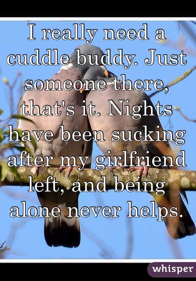 I really need a cuddle buddy. Just someone there, that's it. Nights have been sucking after my girlfriend left, and being alone never helps.