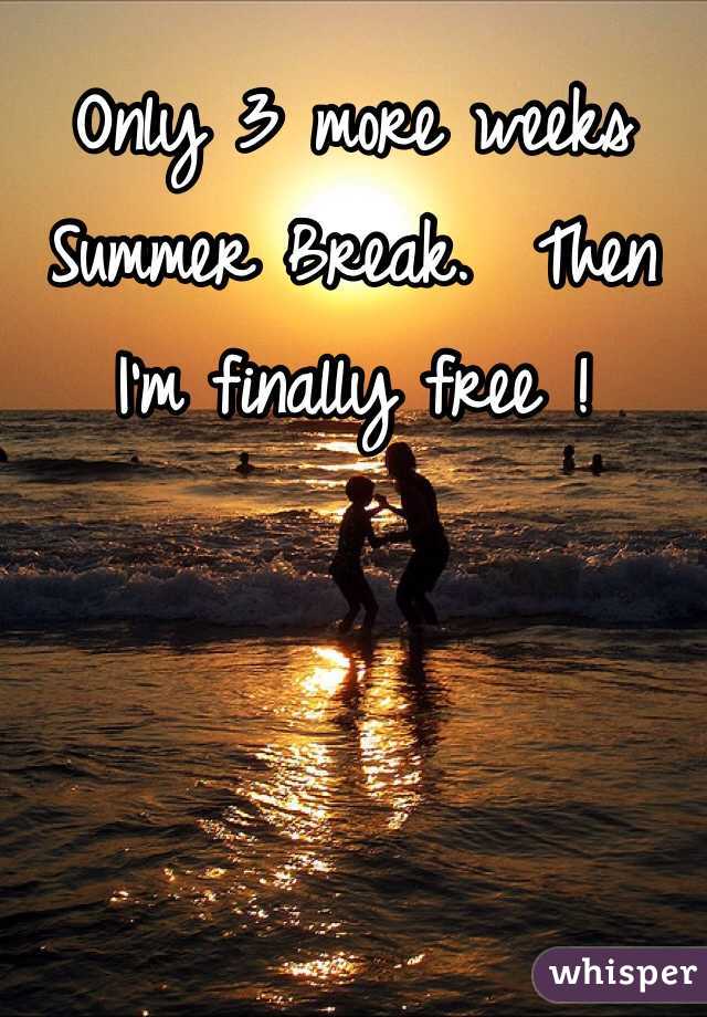 Only 3 more weeks Summer Break.  Then I'm finally free !