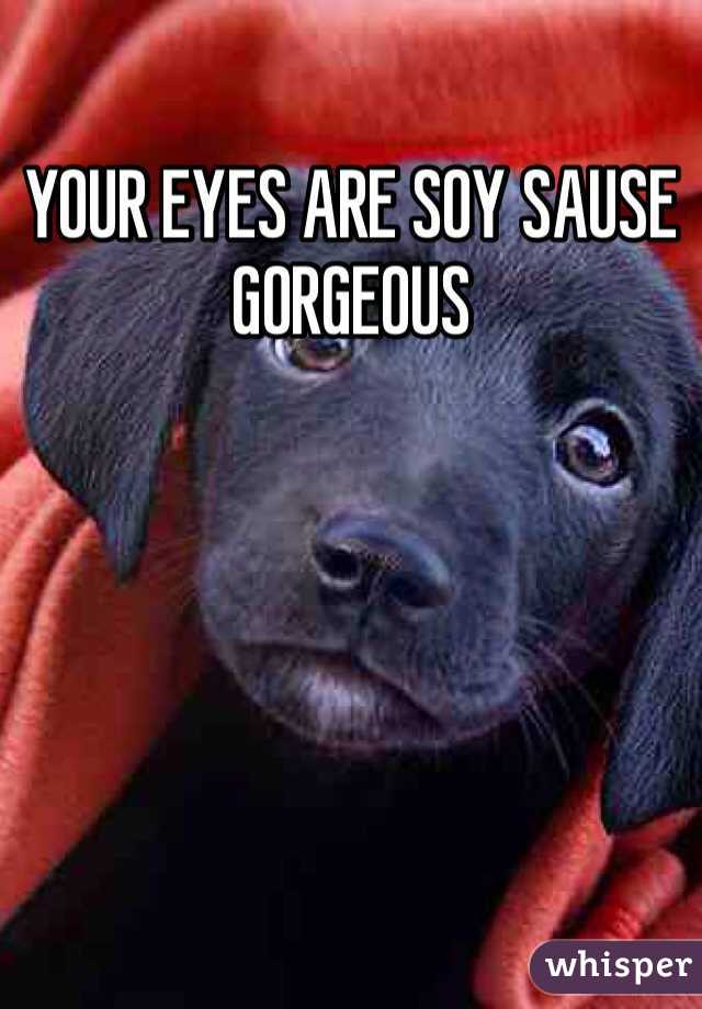 YOUR EYES ARE SOY SAUSE GORGEOUS 
