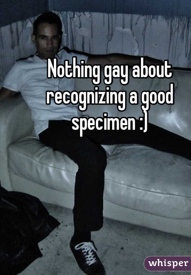 Nothing gay about recognizing a good specimen :)