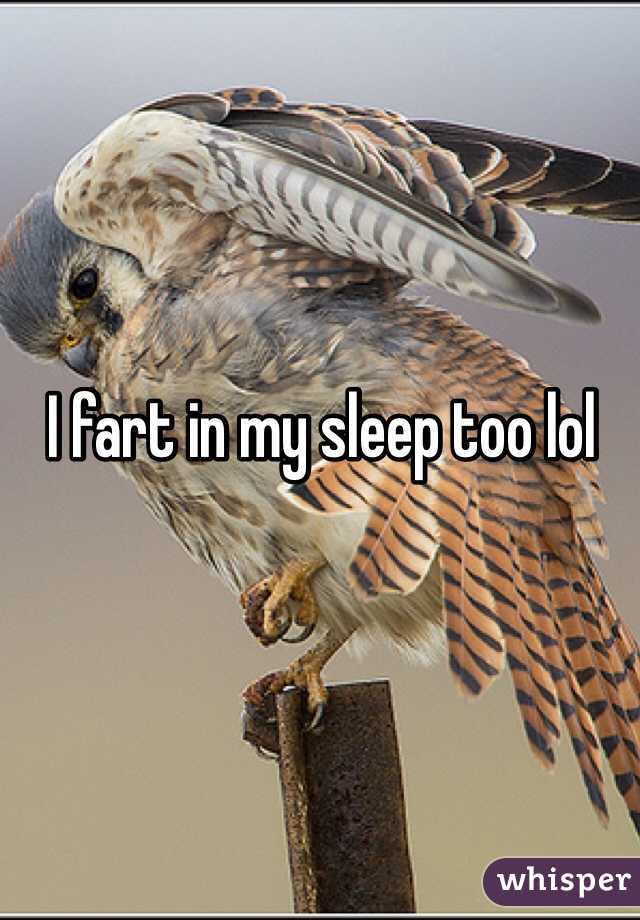 I fart in my sleep too lol 