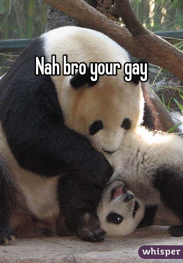 Nah bro your gay