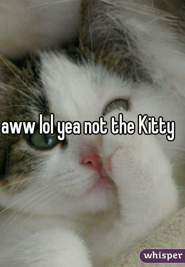 aww lol yea not the Kitty  