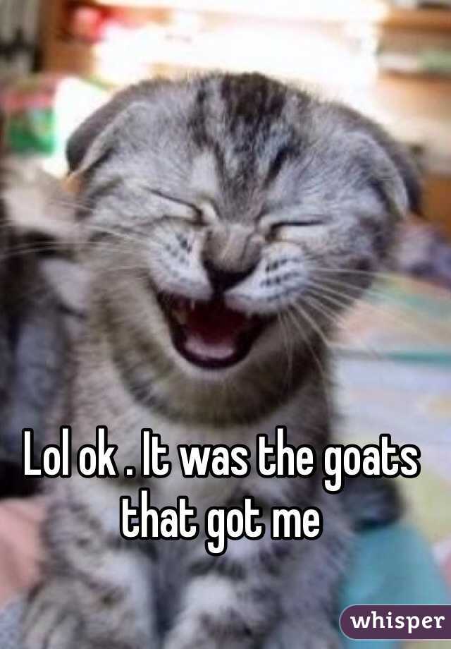 Lol ok . It was the goats that got me 