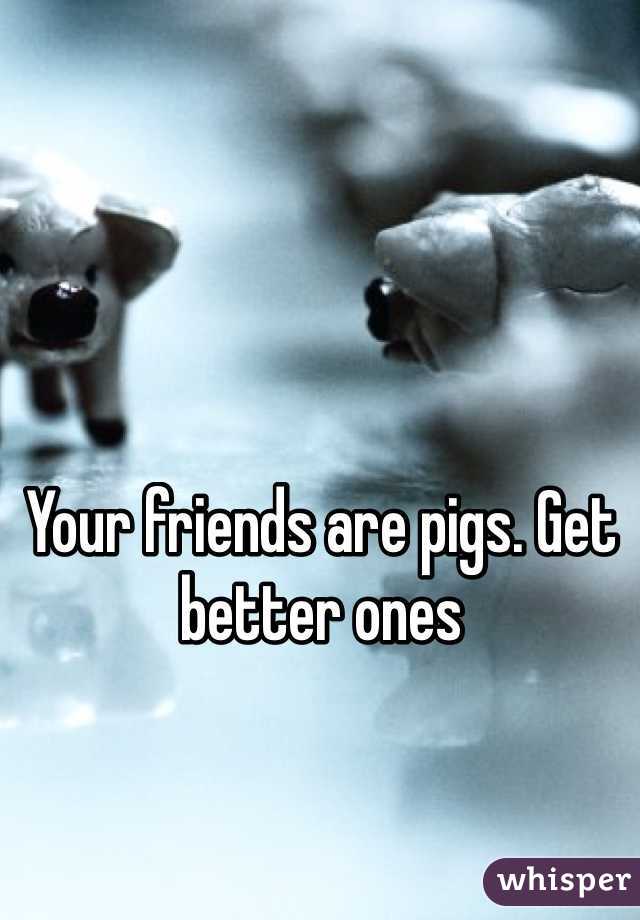 Your friends are pigs. Get better ones