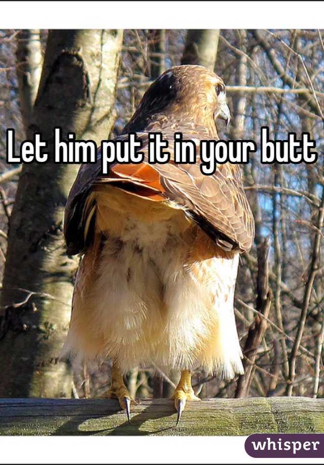 Let him put it in your butt