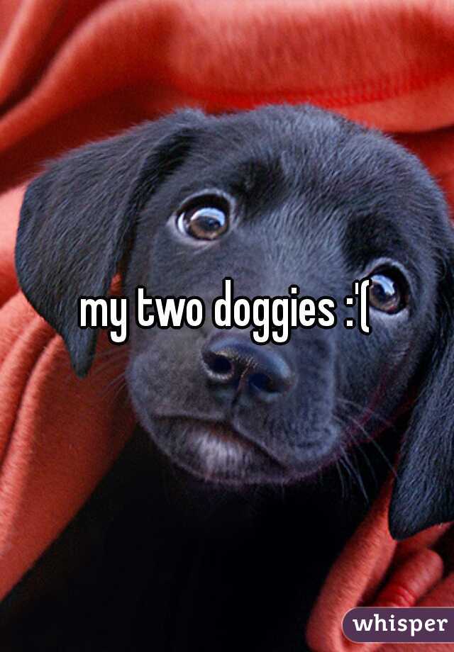my two doggies :'(