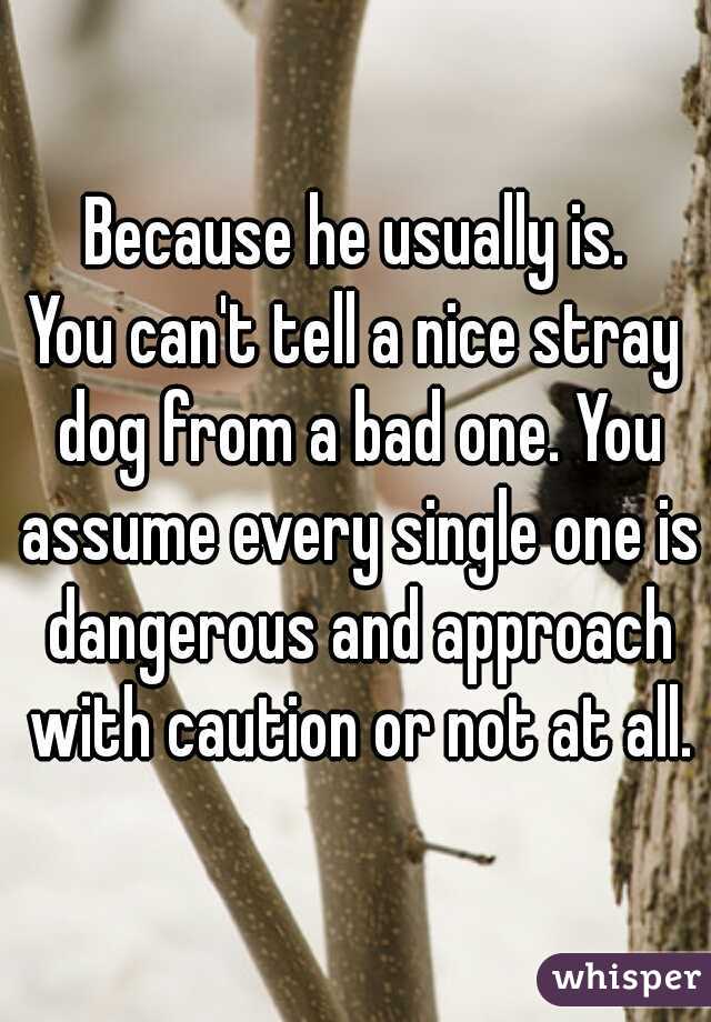 Because he usually is.

You can't tell a nice stray dog from a bad one. You assume every single one is dangerous and approach with caution or not at all.