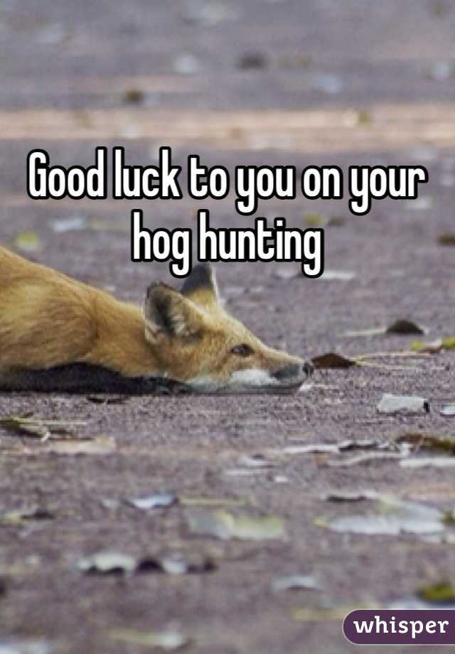 Good luck to you on your hog hunting